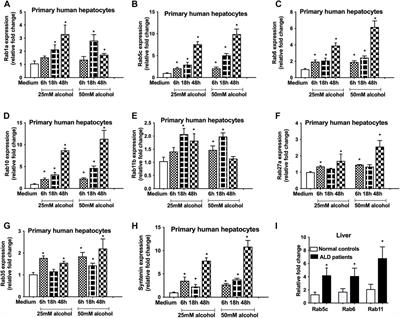 Alcohol Promotes Exosome Biogenesis and Release via Modulating Rabs and miR-192 Expression in Human Hepatocytes